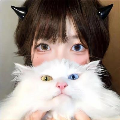 挎斗摩托车里的狗
