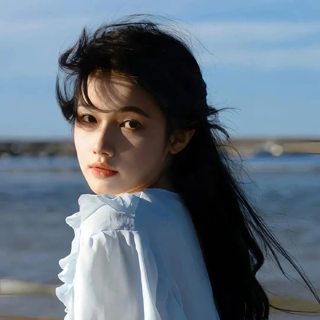 海龟们